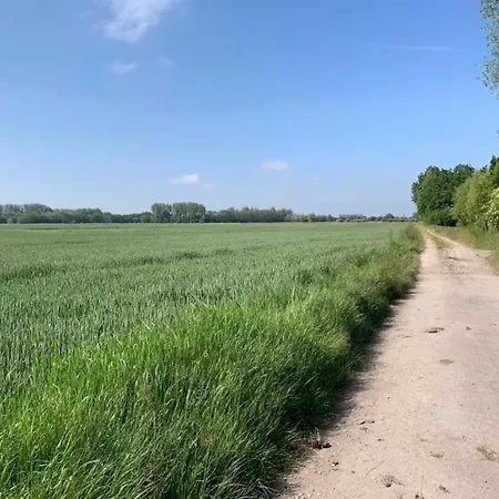 In Near The Marina *