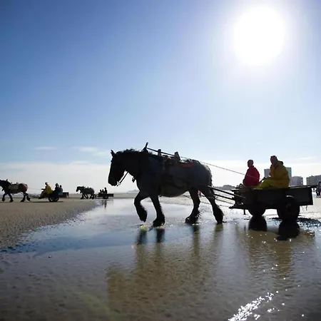 In Near The Marina Διαμέρισμα *