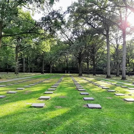 In Near The Marina *