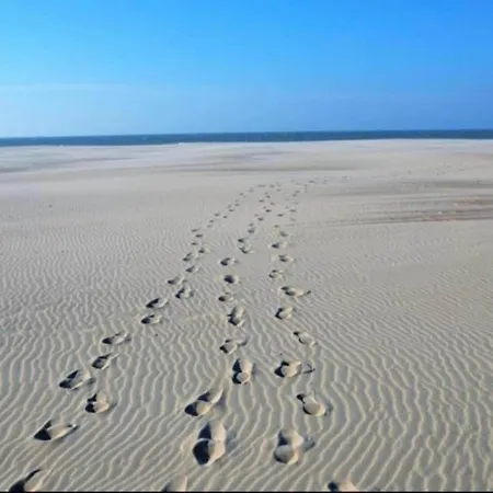 Daire In Near The Marina *