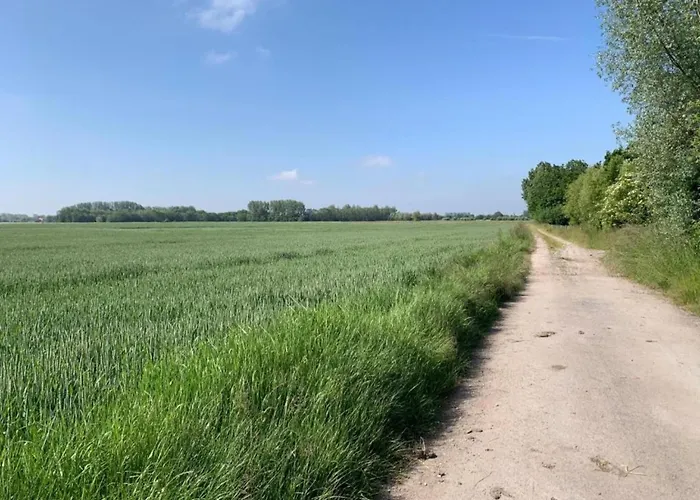 In Near The Marina *