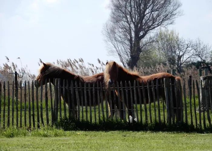 아파트 In Near The Marina *