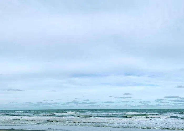 In Near The Marina *